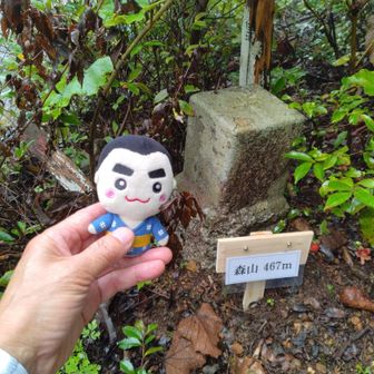 三等三角点のさんちょの