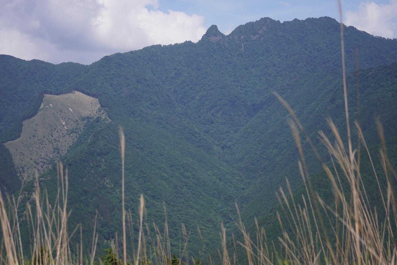 観音峰登山口-観音平-観音峯山 往復コースの写真