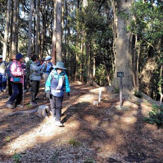 祇園岳山頂に到着