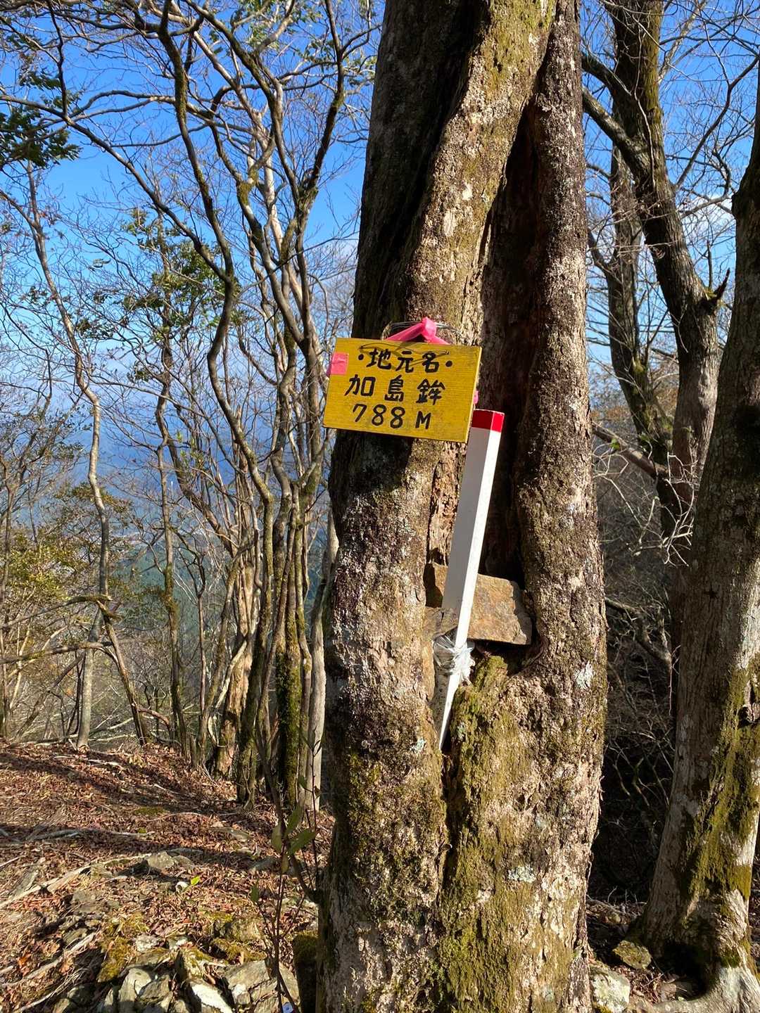 小笹の峰からちょい進んだとこに加島鉾の看板🪧
ピークかな？