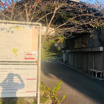 では出発🚶‍♂️