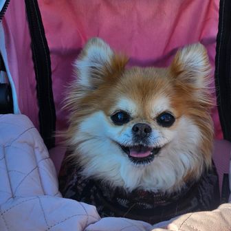 ナナちゃん溺愛