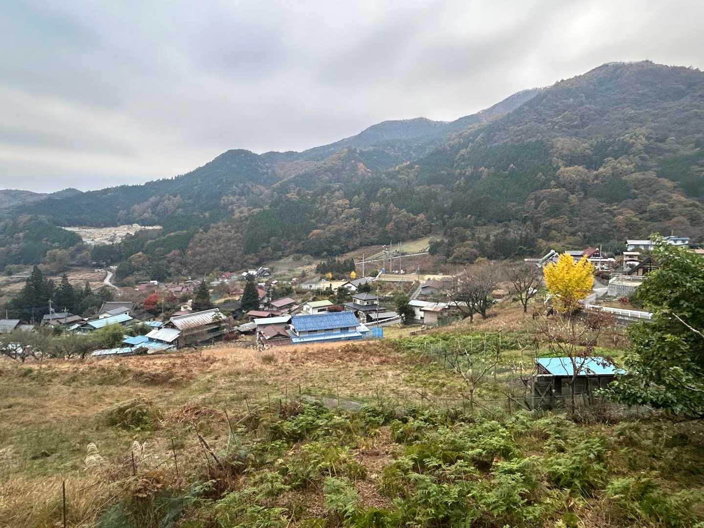 乾徳山登山口バス停-乾徳山登山口-乾徳山-道満山-徳和峠 周回コースの写真