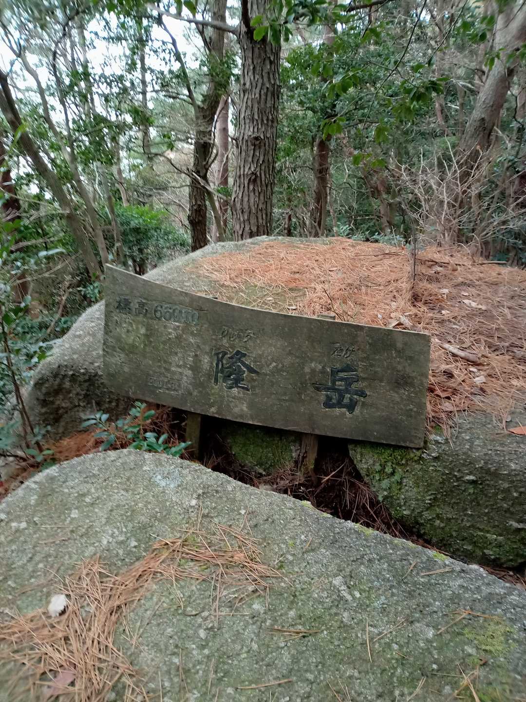隆岳の写真