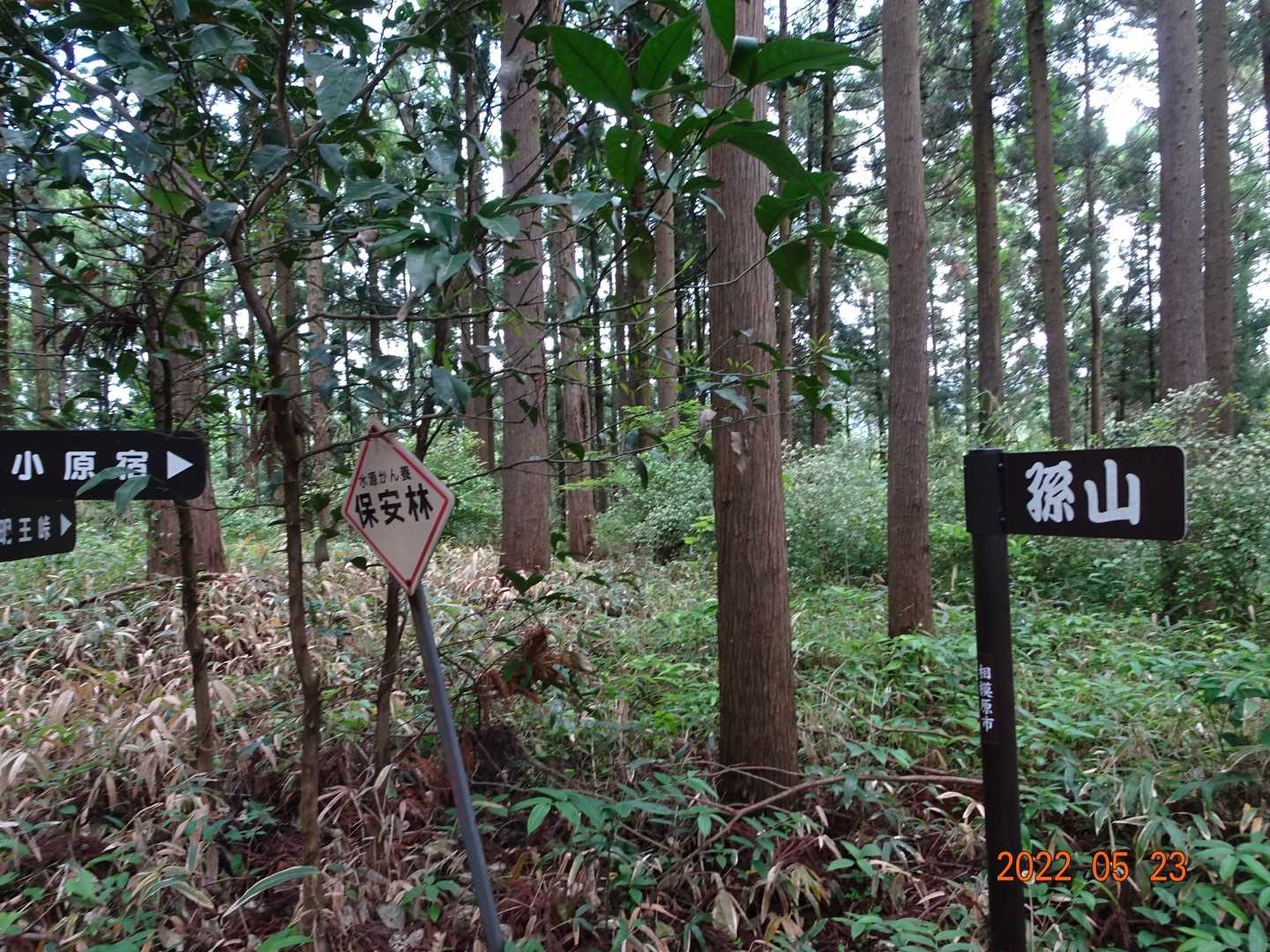孫山548mに到着です、何時もスルーしていたので気になっていた所です