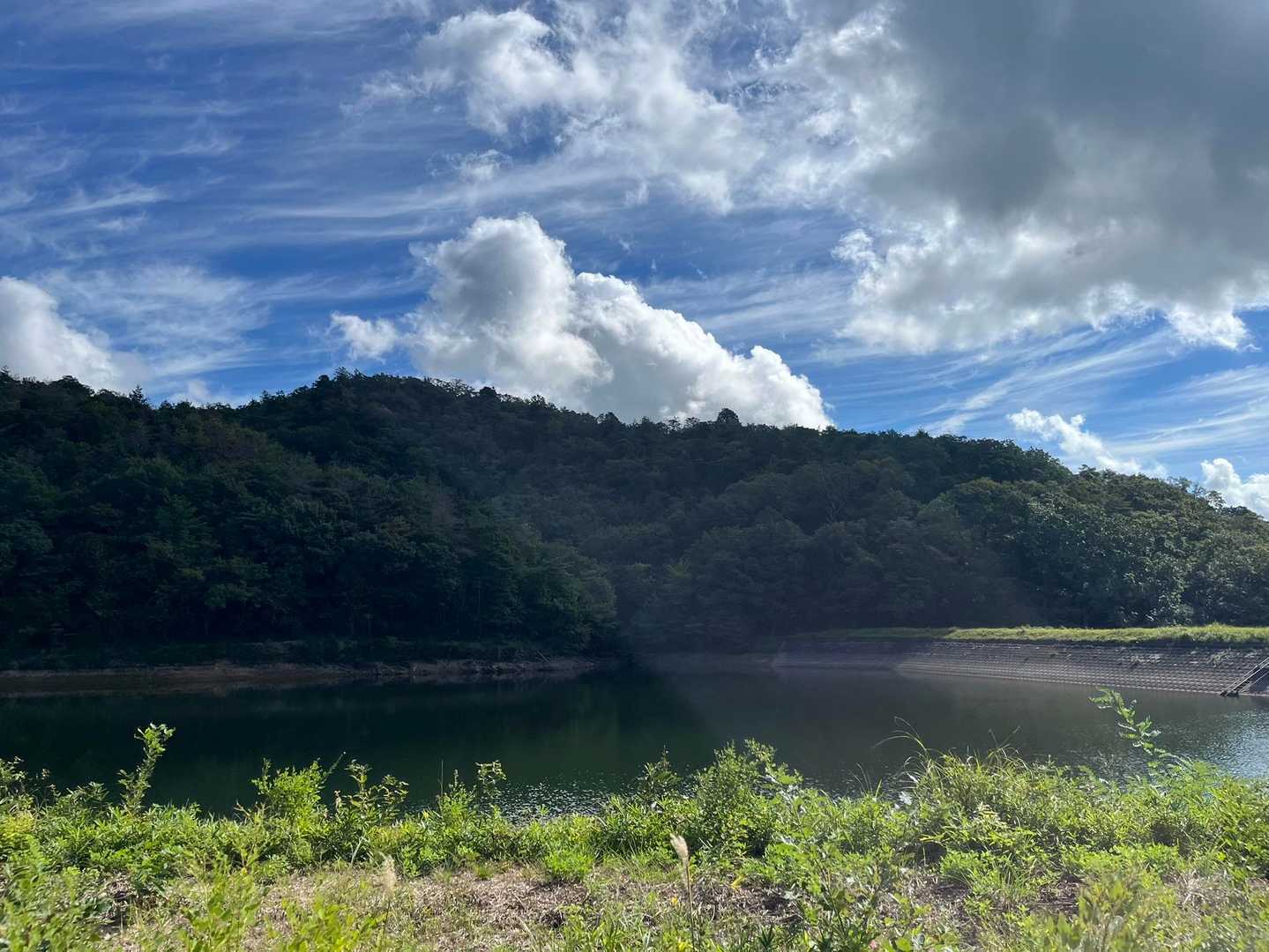 写真じゃわかりにくいけど、今日は空がとても青くてキレイだった😊