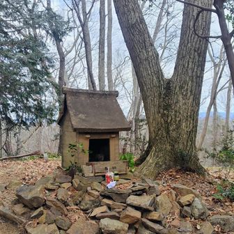 まずは落ち葉急登をゆっくり登って赤澤富士

途中、落ち葉に滑った女性の悲鳴にドキッ！