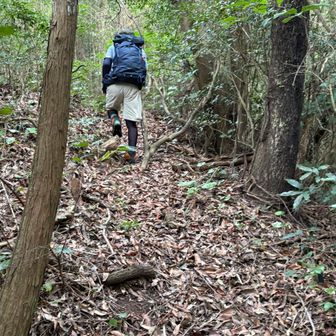 ちょっと登ります