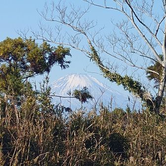 大平山からの富士山