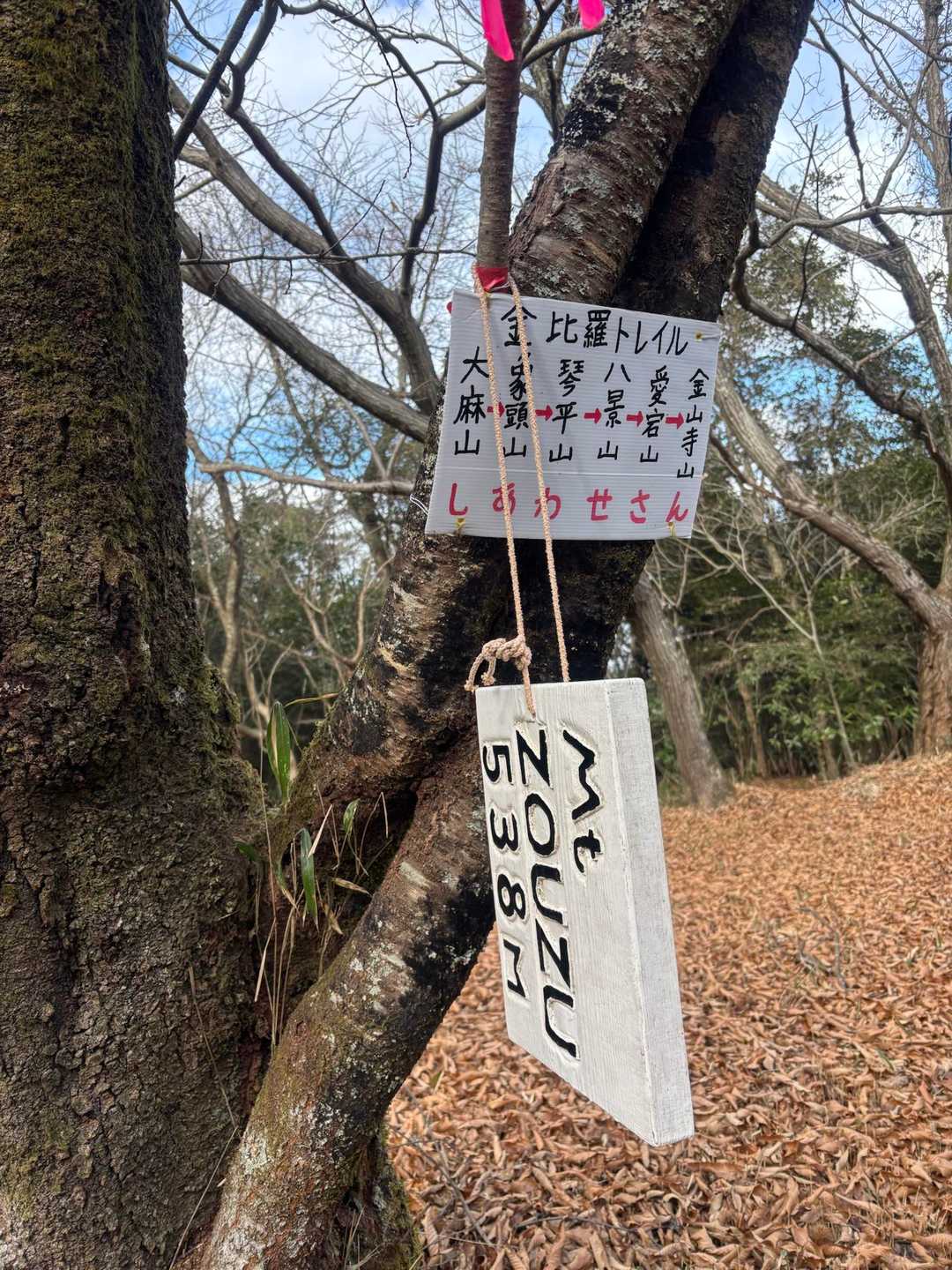 まっすぐ歩いていると不意に到着🐘笑