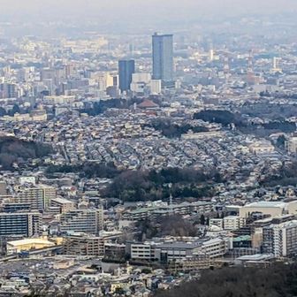 高尾山展望レストラン🍴
初めて入ったけど眺めも良くて最高😊