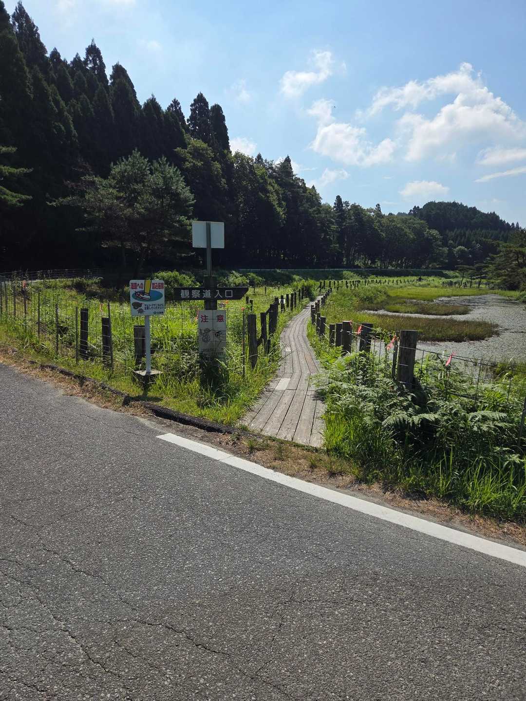 樫原湿原に立ち寄り～
写真撮られてる方がおられました📸