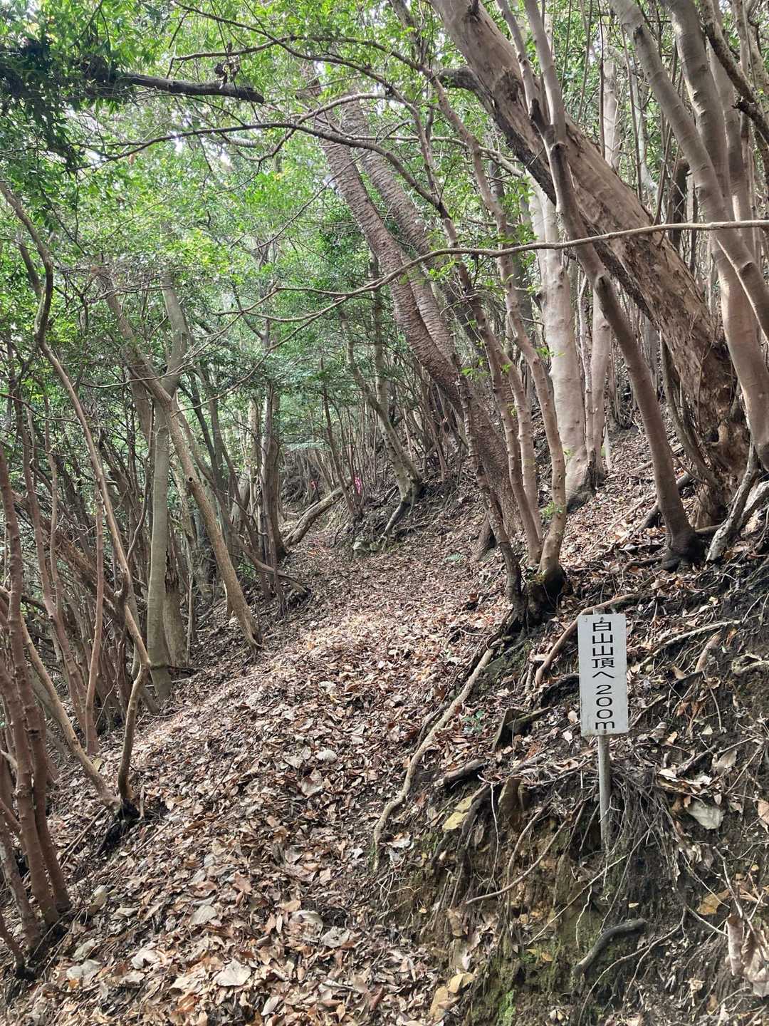 大回りになりそうだが、こっちの方が楽そうだからこっちに行く