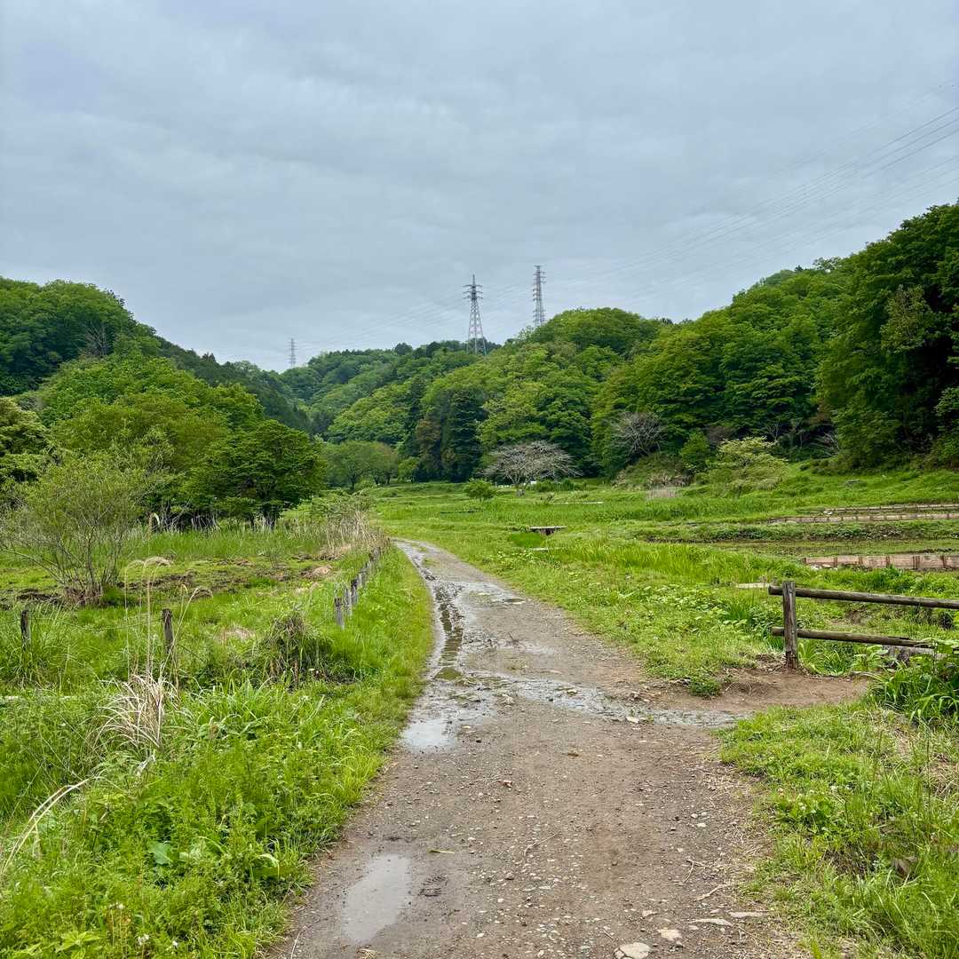 【横沢入】
東京でもしっかり農村風景です☺️
右に曲がって横沢丘陵へ✊
