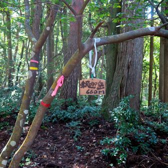 んで!!釈迦岳到着