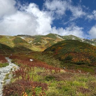 下山します。
名残り惜しい😢