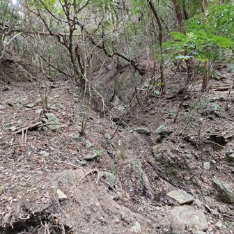 汐井の滝が見えました。