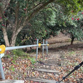 とりあえず下ります