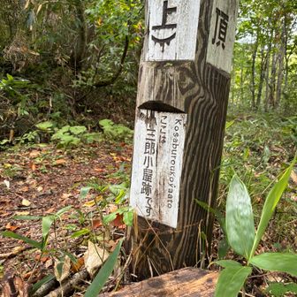 分岐にある標柱に小三郎小屋跡と書いてあります。上条堰を開拓した関係の人なのだろうか？
