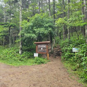 ゴンドラ山頂駅からすこし歩いたところで振り返った