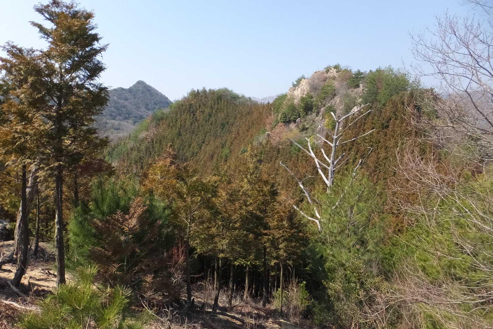 竜ヶ岳が見えてきました
