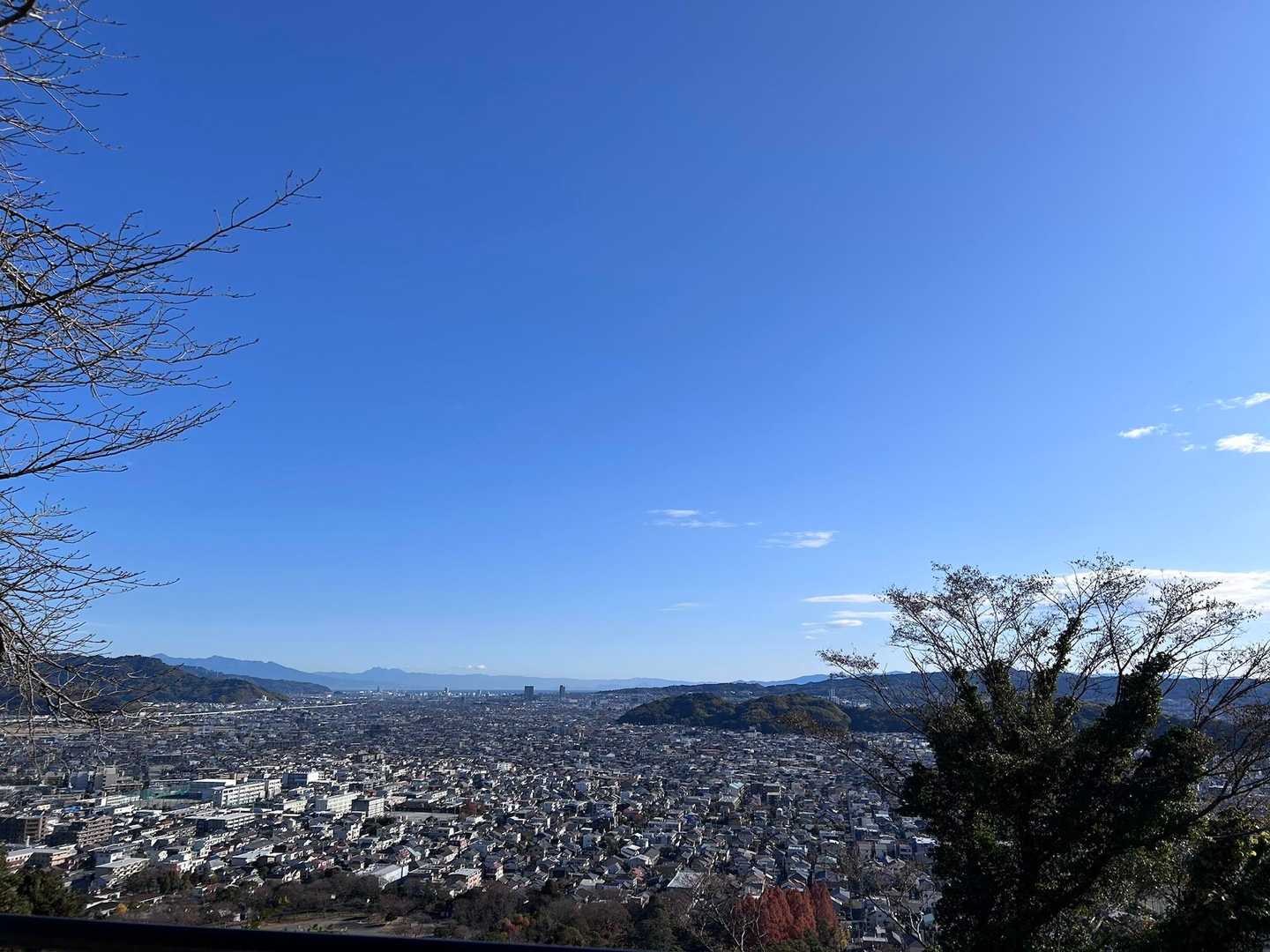 浅間神社のその奥へ... 賤機山往復コースの写真