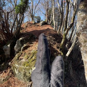 大日如来さまに🙏