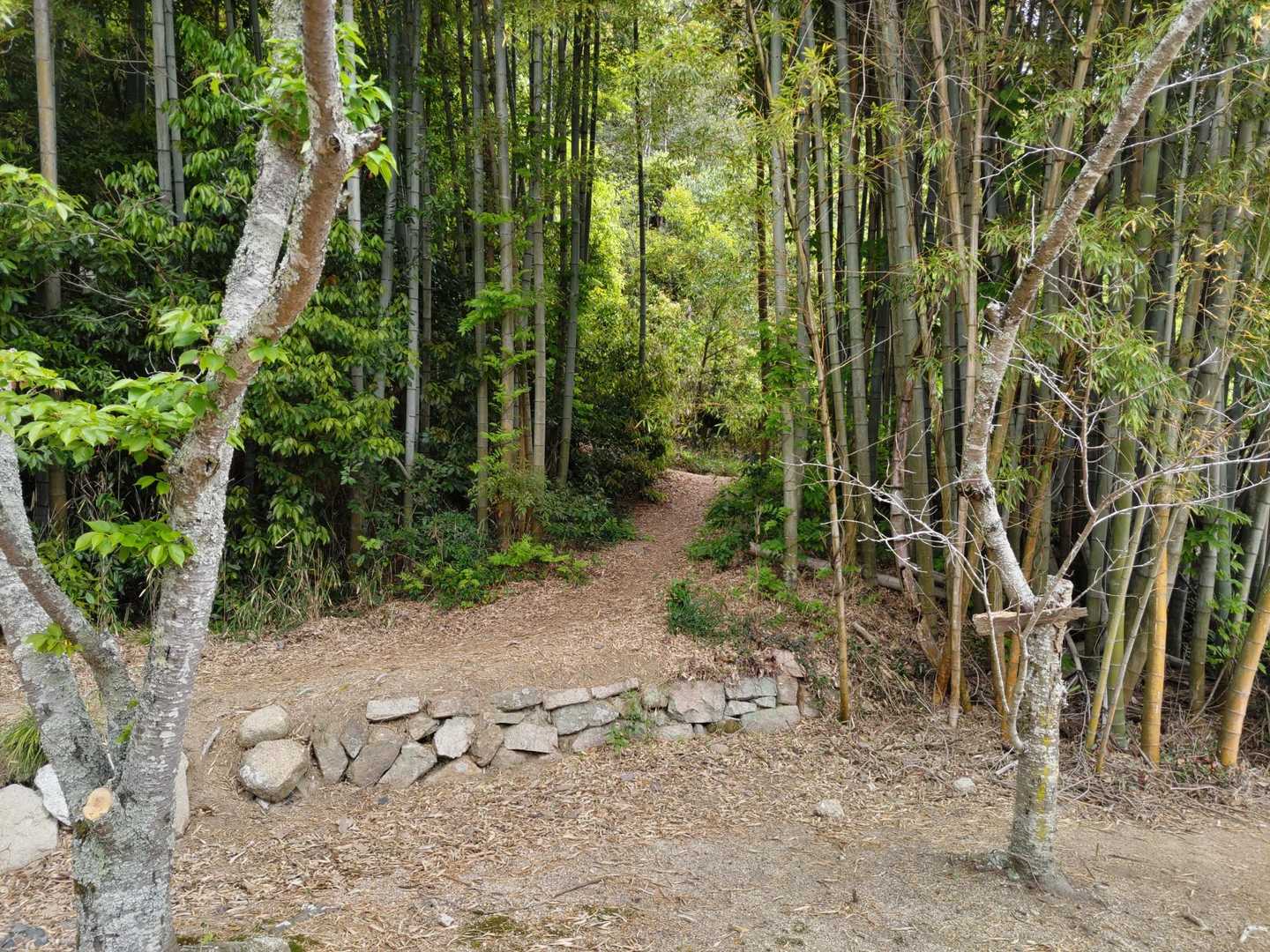 無事に全員、下山
ありがとうございました😄