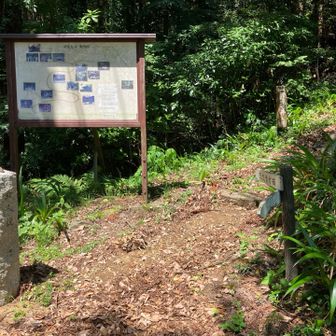 いくつかコースがあるみたいだけど女人道に行きます