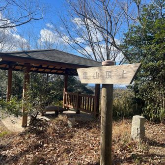 だがしかし！まさかの2分で山頂🤯