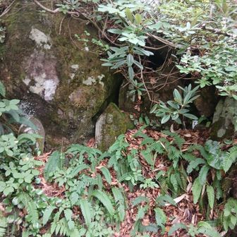 飯の神様にお参り　美味しいお米がいっぱいとれますように🙏