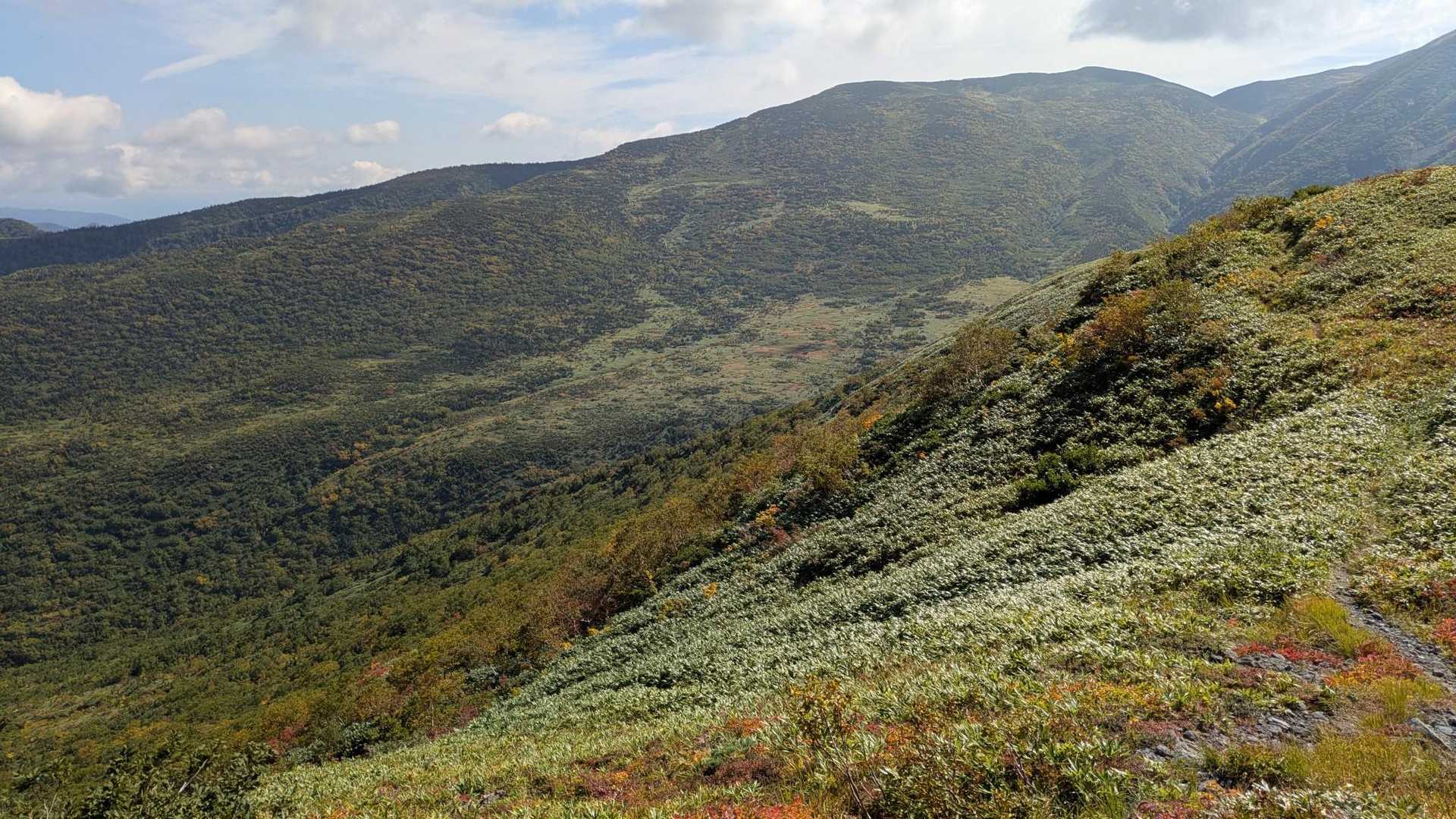檜倉-長倉山-奥長倉-美女坂ノ頭-天池室跡 往復コースの写真