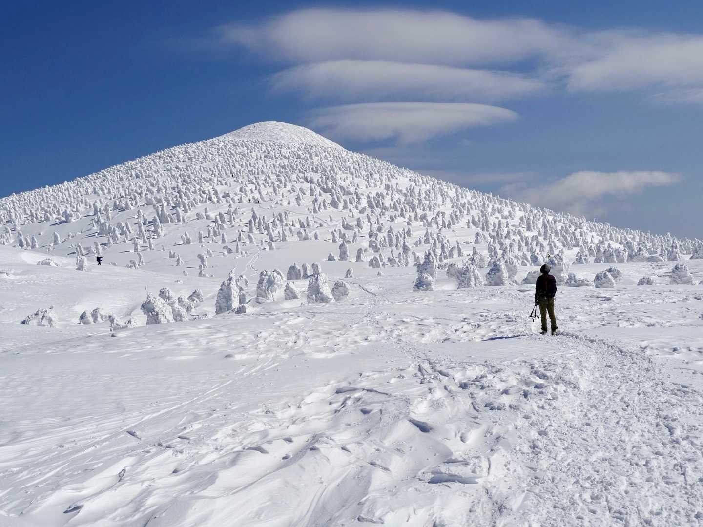 いい👍最高にいい👍