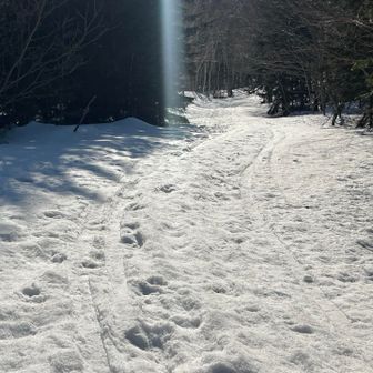 スキーのトレースがあるので
これだけが頼り
雪が硬ければ自動運転で行けると思うけど
ずっとストック頼りだから
手動運転だね😅