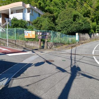 玄岳ハイクコース入口バス停
左折方向が登山道入り口。手前に自販機あり。