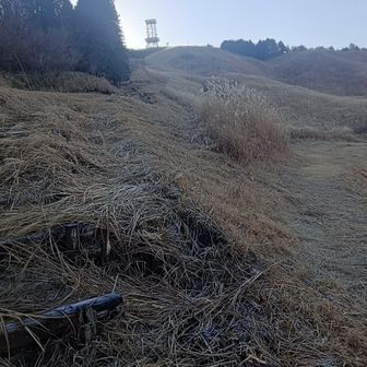 階段のぼります