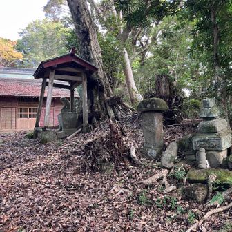 立派な浅間神社あり。かつてはこちらに三角点がありました。地元の方はセンゲンではなくアサマと呼ぶ
