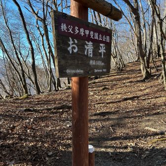 しばし平らな道（ほっとします）