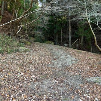 無事下山！最初からぜーはーぜーはーでバテバテで申し訳ない😱
休憩いっぱいありがとでした🙌😆またよろしくね⛰️