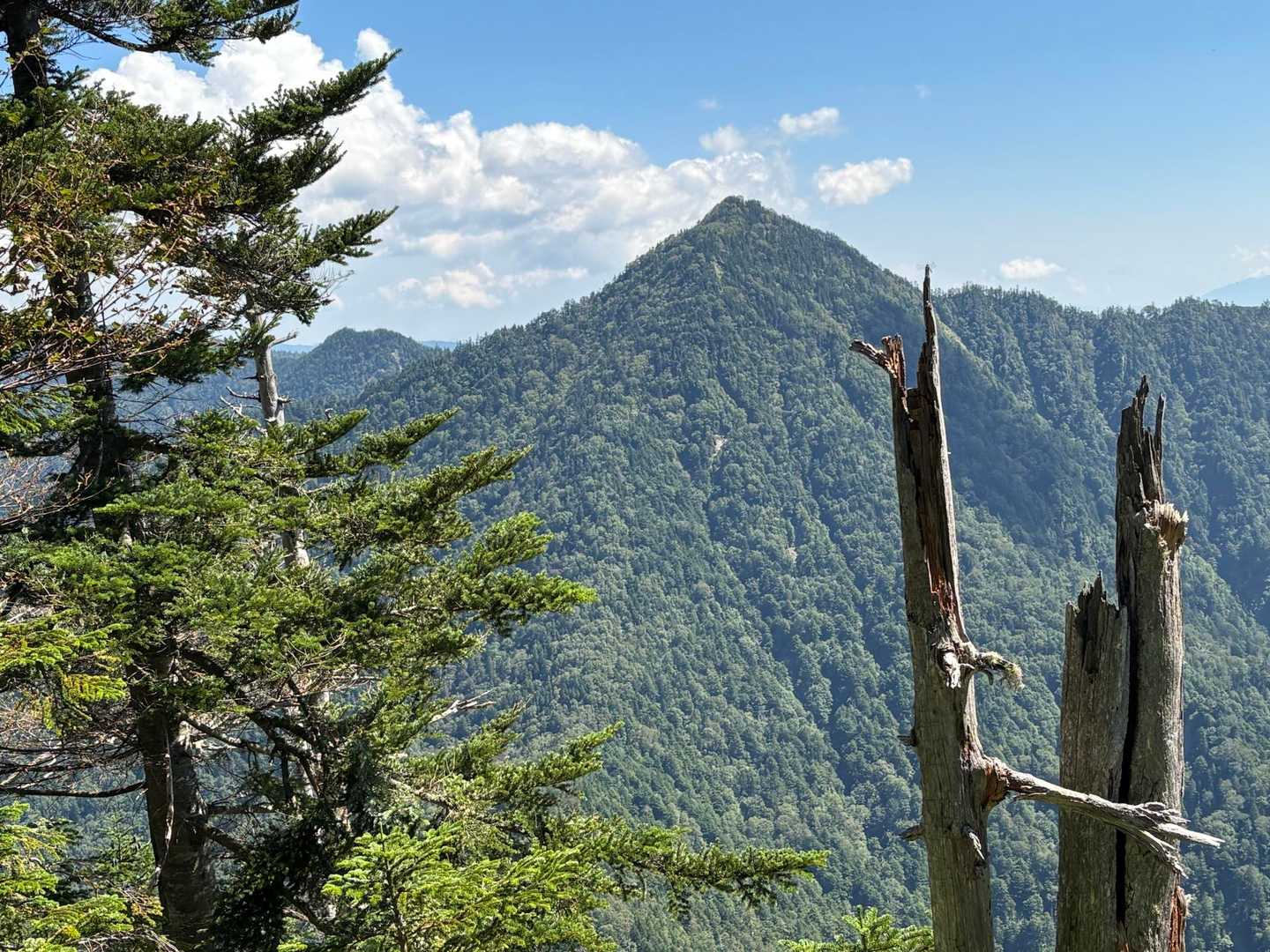 燕巣山
結構遠く感じます
