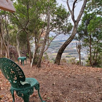 人工的に南側が切り開かれた形ですが、眺望はありました。