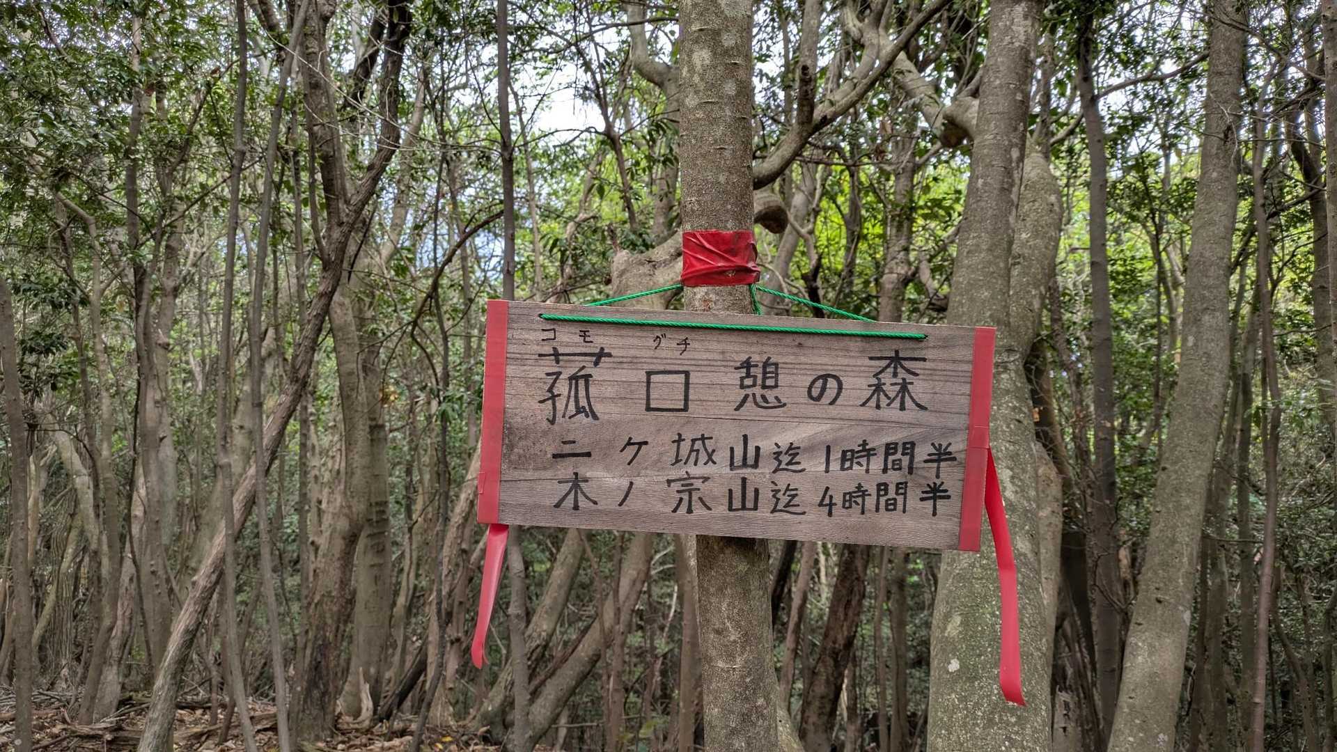  戸坂駅-松笠観音寺-松笠山-蝦蟇ヶ峠-二ヶ城山-高陽中央 縦走コースの写真