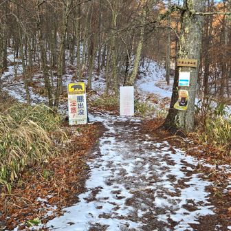 ここから、入ります。
森屋山の道標がたくさんあって、迷いません。