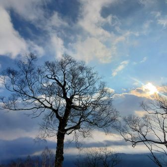 滝ノ上山のシンボル的な木☆
登ること聞いていなかったから
登り始めはキツかったー😆