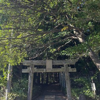 神武神社⛩️が登山口なんだ🚪