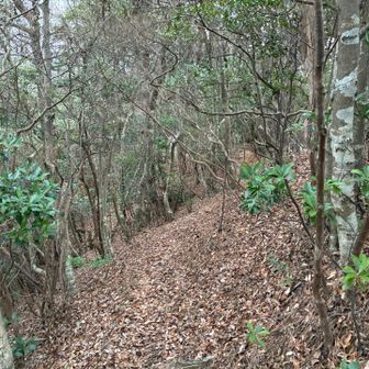 あとは下るのみ⤵️