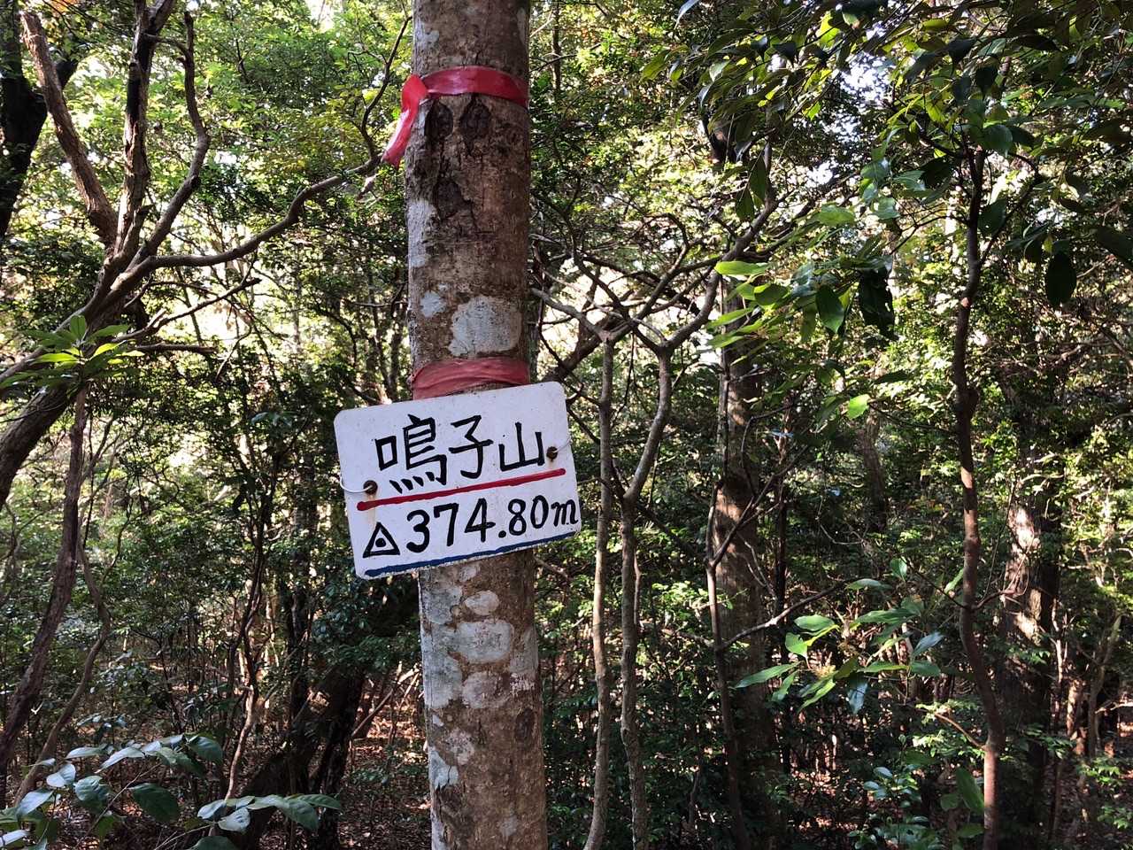 鳴子山登頂
374.80m