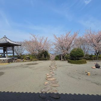 お孫さん（姉弟）が庭の手入れのお手伝い🎵お手入れ大好きって✨
立派な後継ぎですね😊
20分くらいおしゃべりしたような😅