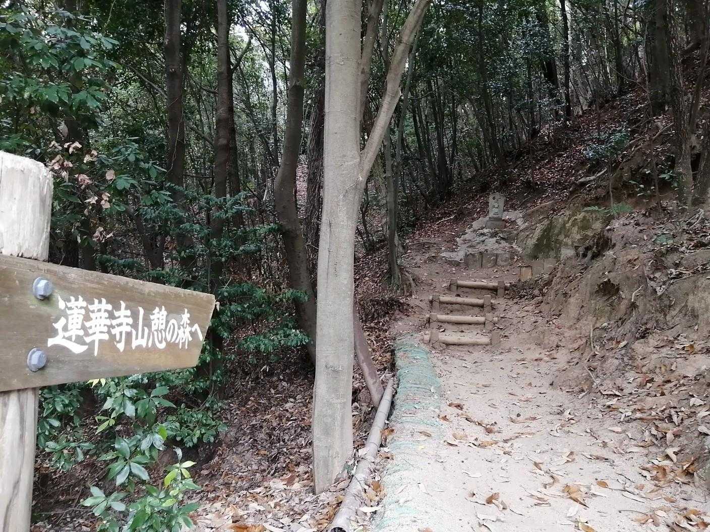 登山道