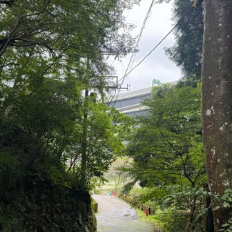 高速道路が見えてきた